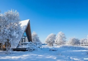 Глэмпинг Трофимов Берег в Московской области