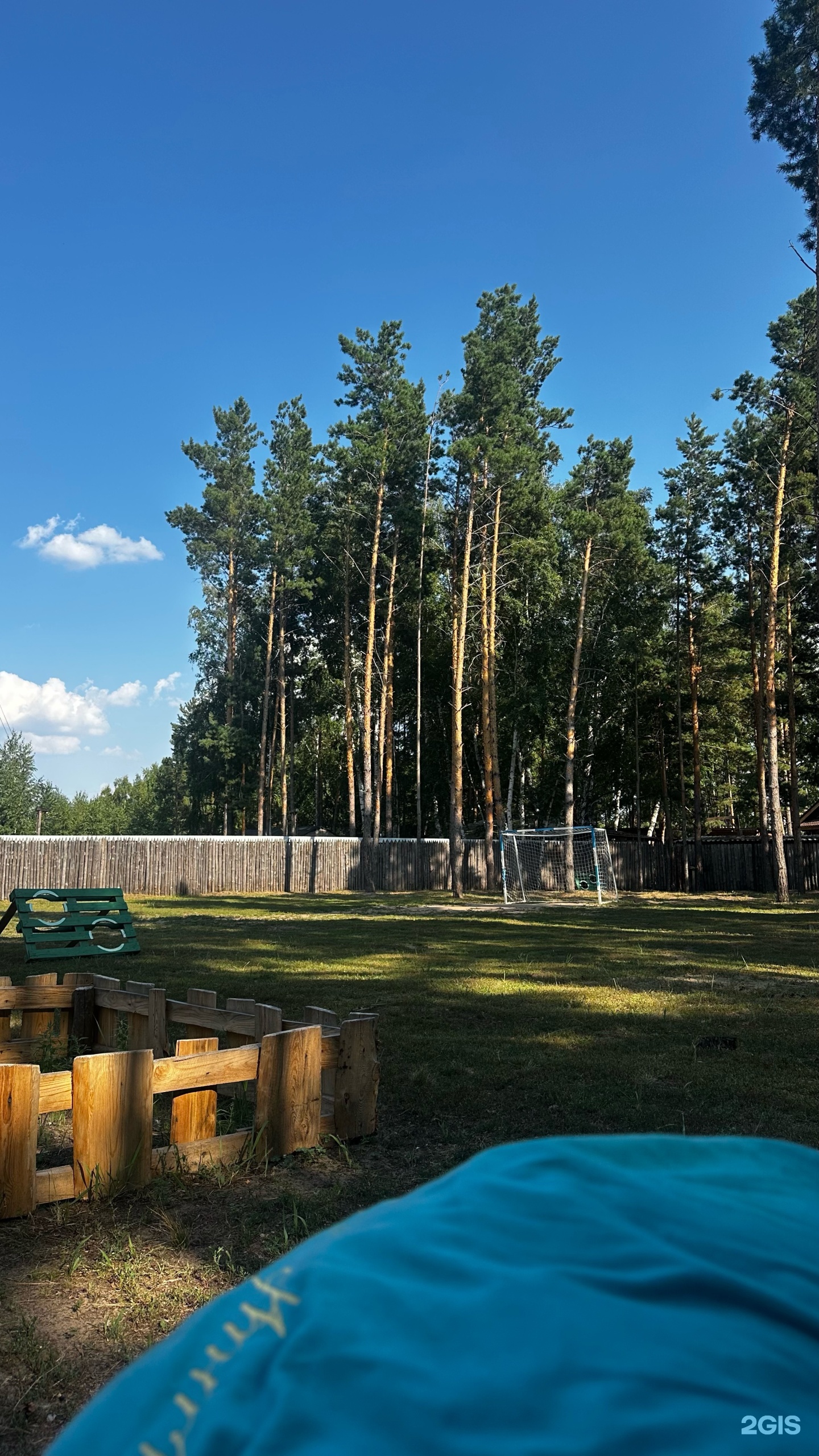 Деревенька в бору