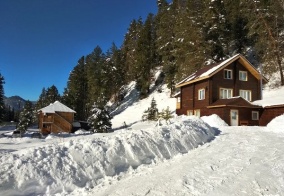 Турбаза Усадьба в горах Телецкое на Телецком озере