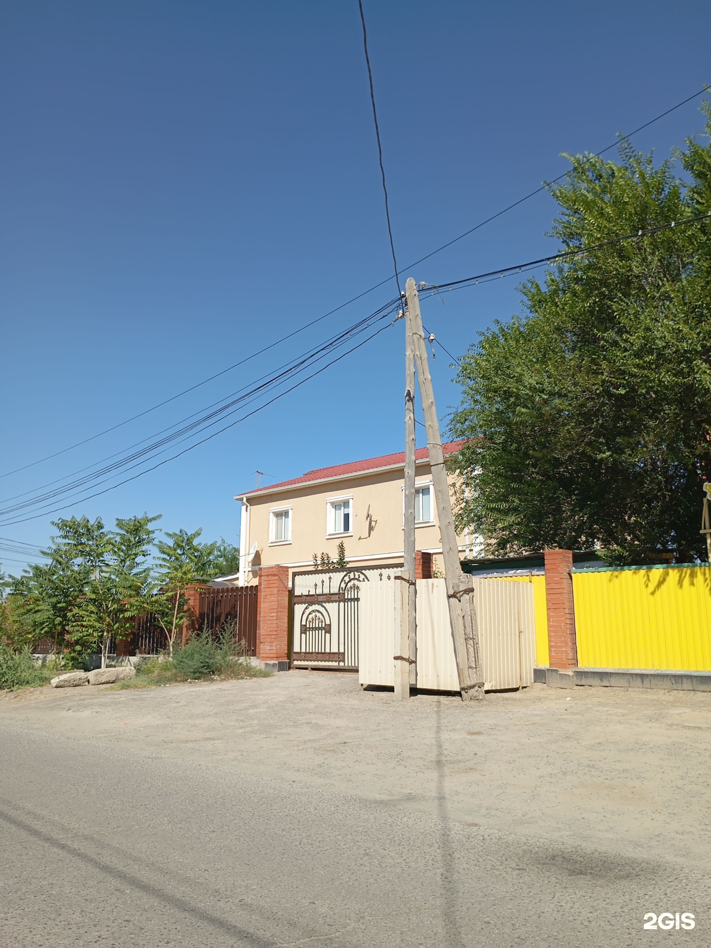 Пихта