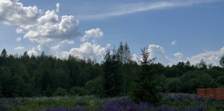 Степаньково: Турбаза Барские Поля