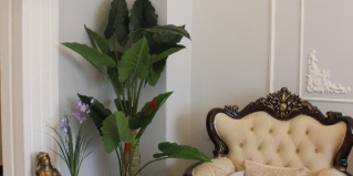 Кызыл: Отель Лотос