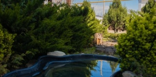 Геленджик: Отель Sea Eco Villa