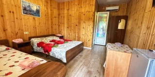 Псырцха: Гостевой дом Виктория