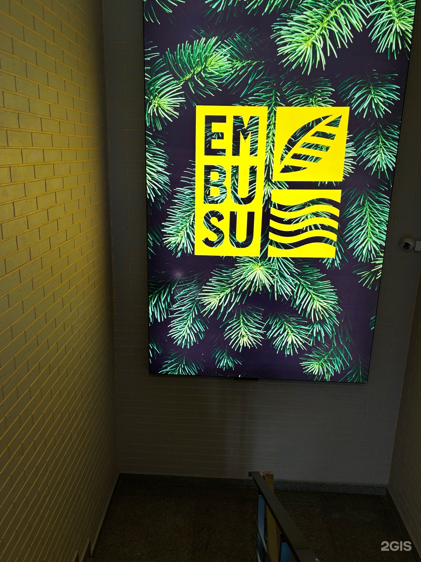 Embusu
