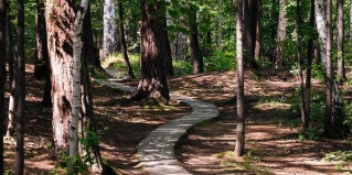 Аргаяшский муниципальный округ: Глэмпинг Янтарь Увильды