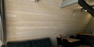 Элекмонар: Коттедж Kislorod