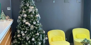 Сириус: Отель Citrus