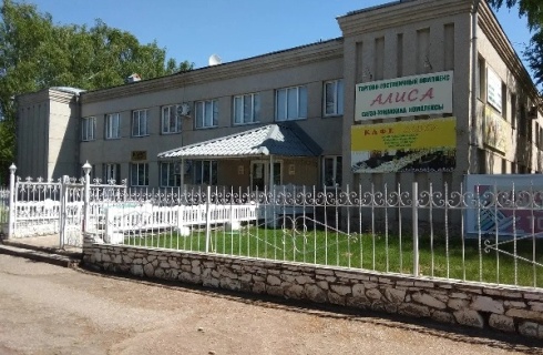 с. Буздяк: Отель Алиса