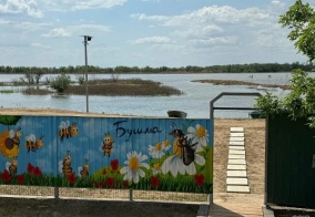 Коттедж Бушма в Астраханской области
