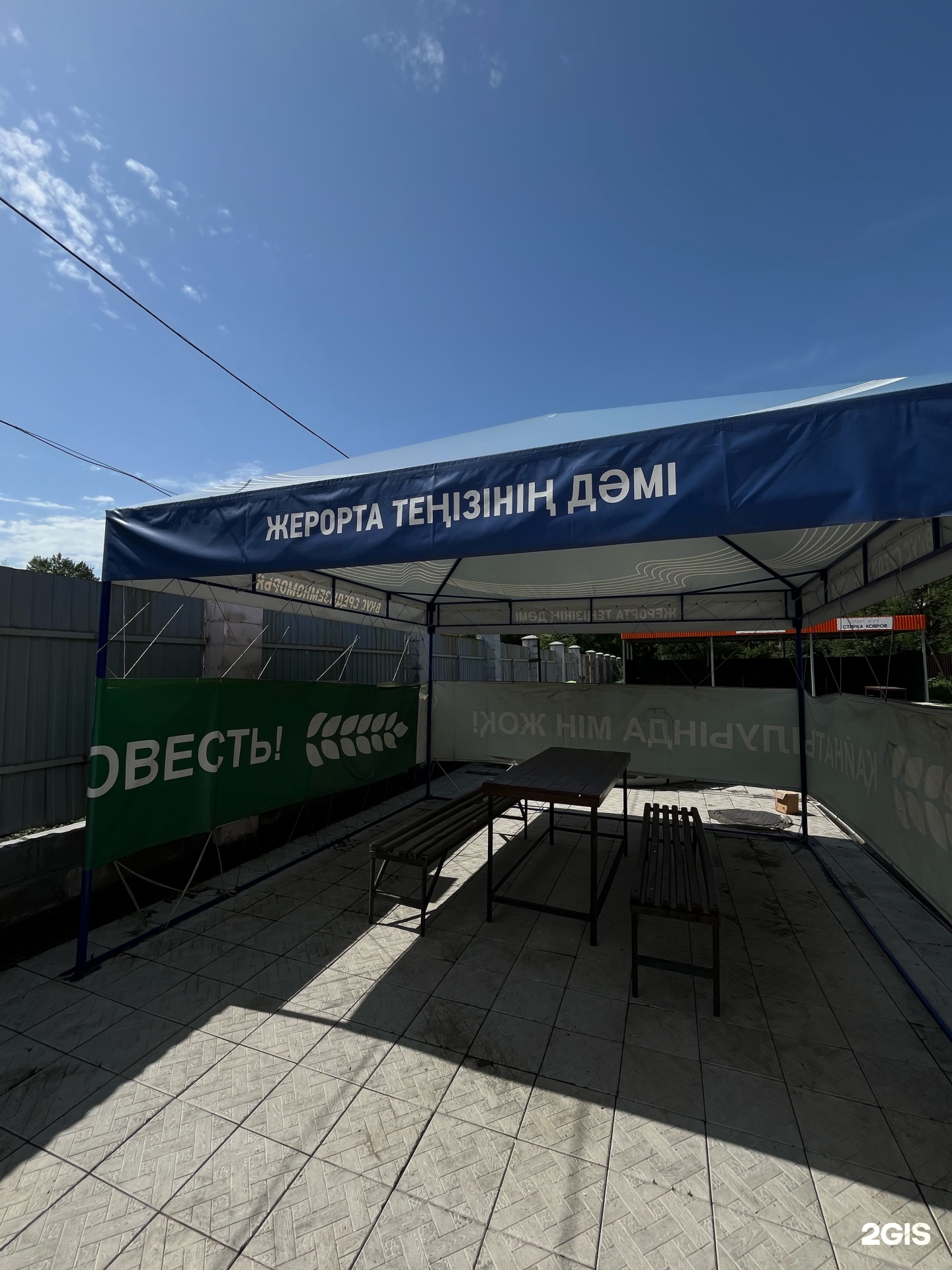 Пихта
