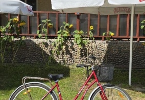 Турбаза Фрише Нерунг в Балтийске