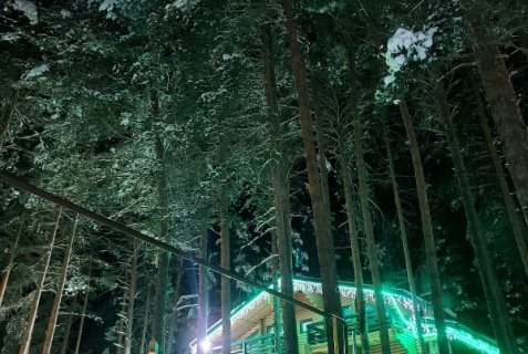 Терскол: Гостевой дом Green forest