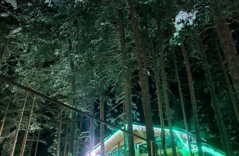 с. Терскол: Гостевой дом Green forest