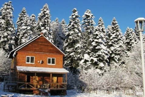 Апшеронский район: Отель Пихтовый бор