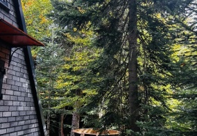 Вилла/Бунгало Счастливый лось в Карачаево-Черкесской Республике