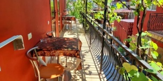 Адлер: Гостевой дом Лоза