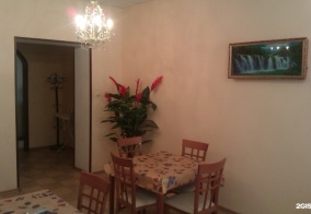 Мини-отель Пингвин в Санкт-Петербурге