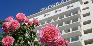 Витязево: Отель Sofgrand