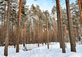 Турбаза Дача в Ленинградской области