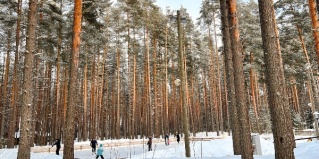 Петровское: Турбаза Дача