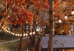 Глэмпинг Ферма-отель Василия Гребенникова в Приморском крае