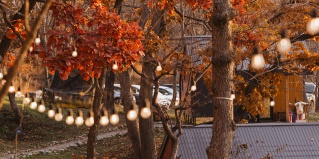 Витязь: Глэмпинг Ферма-отель Василия Гребенникова