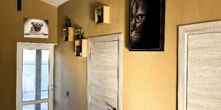 Нижнетавдинский район: Апартаменты Delfin house