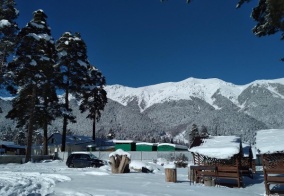 Турбаза Сосновый рай в Карачаево-Черкесской Республике