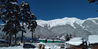 Архыз: Турбаза Сосновый рай