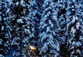 Гостевой дом Домик в лесу в Домбае