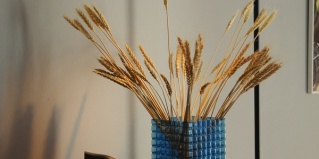 Сухум: Отель Айтар Морские корпуса