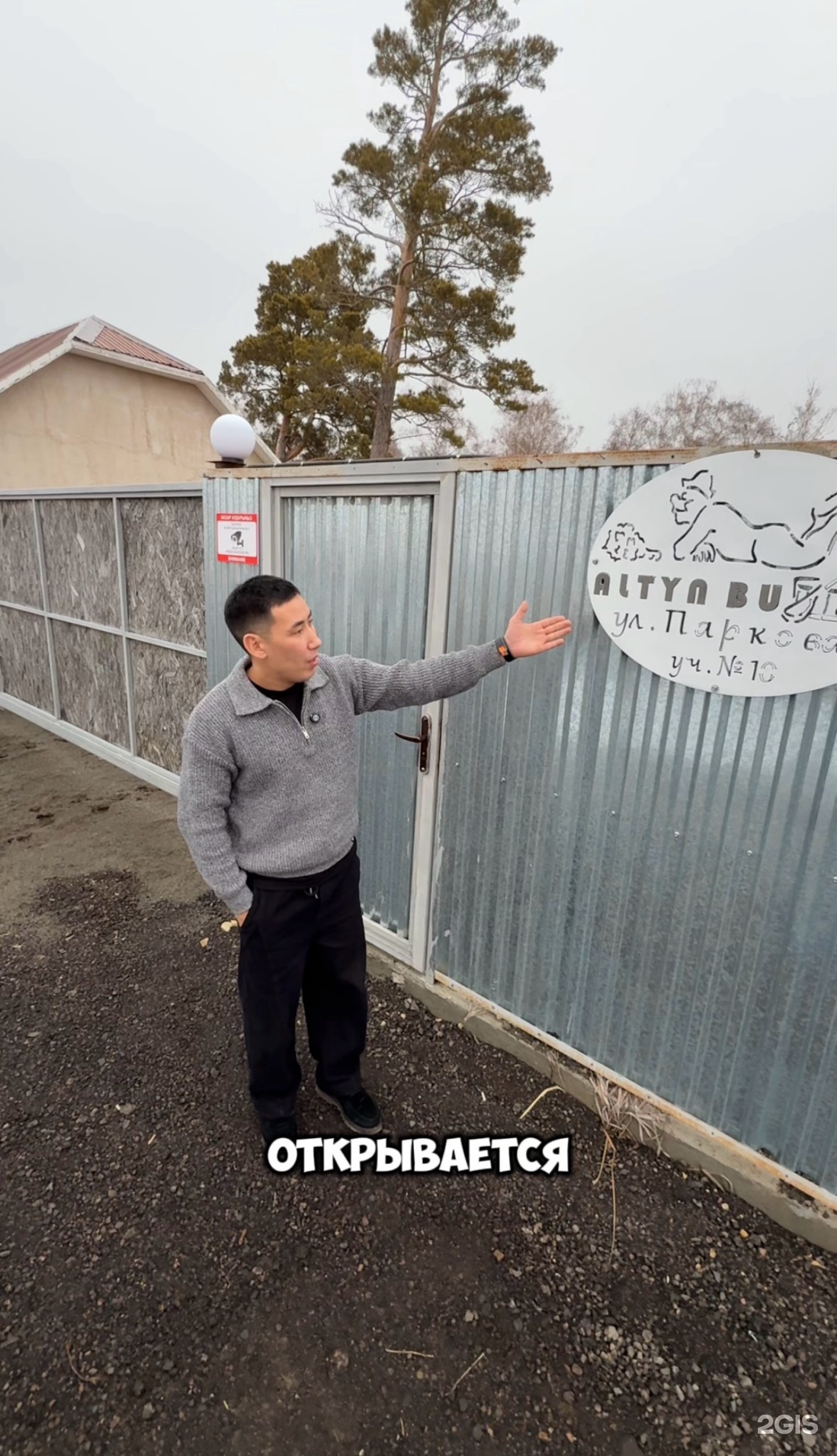 Altyn bu